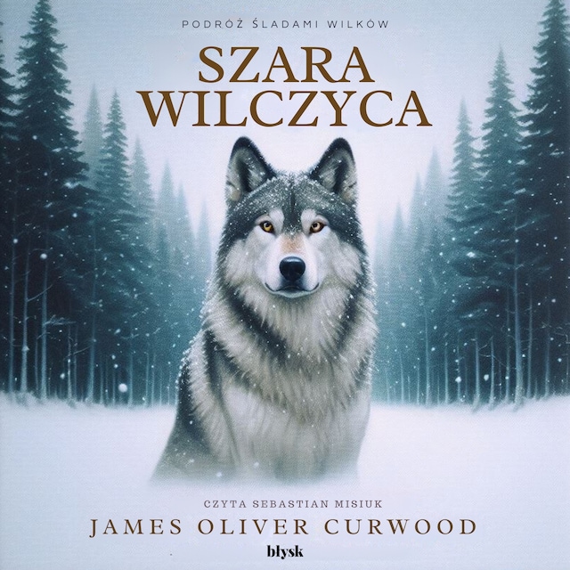 Book cover for Szara Wilczyca