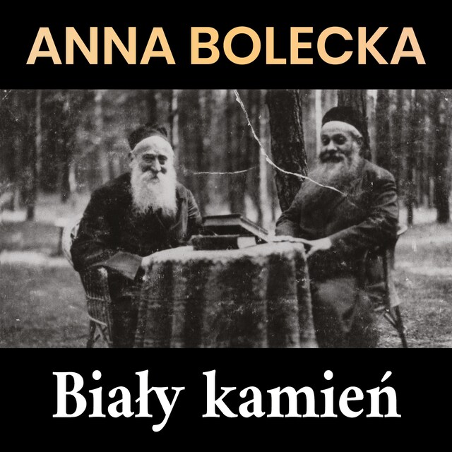 Book cover for Biały kamień