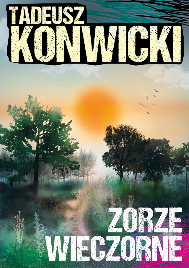 Book cover for Zorze wieczorne