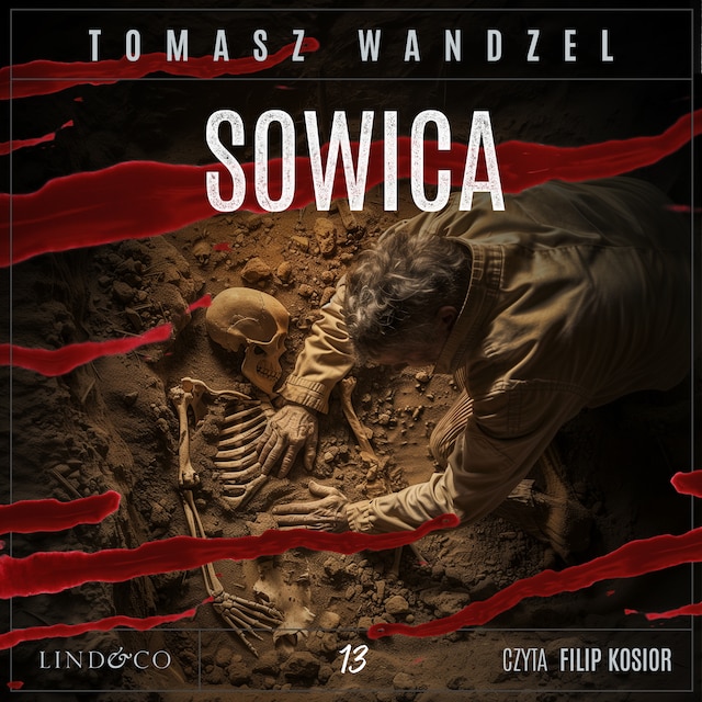 Book cover for Sowica. Komisarz Oczko (13)