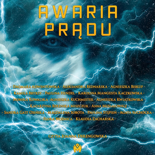 Book cover for Awaria prądu