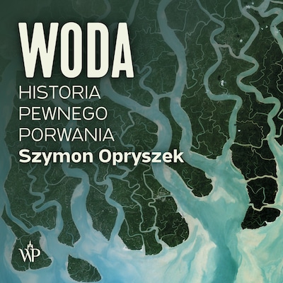 Woda. Historia pewnego porwania