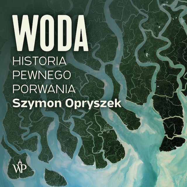 Okładka książki dla Woda. Historia pewnego porwania