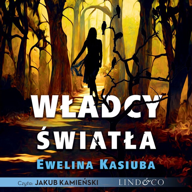 Book cover for Władcy światła