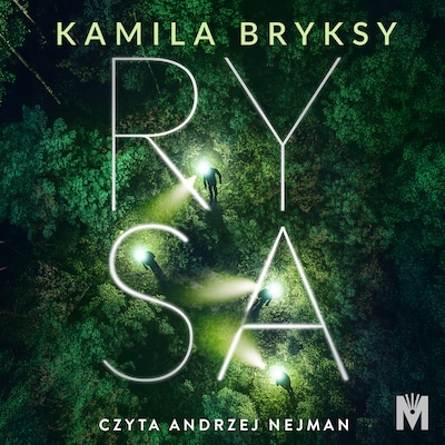 Rysa