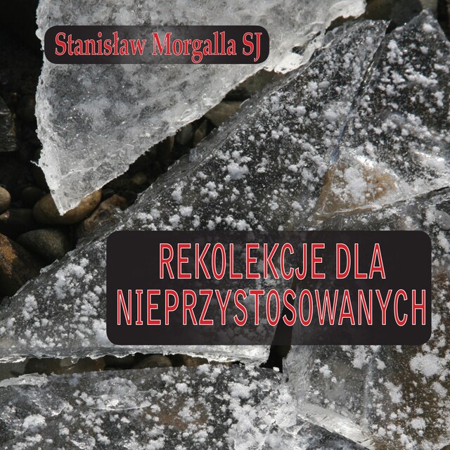 Bokomslag for Rekolekcje dla nieprzystosowanych