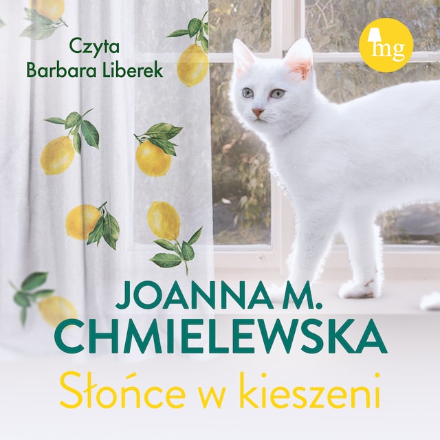 Buchcover für Słońce w kieszeni