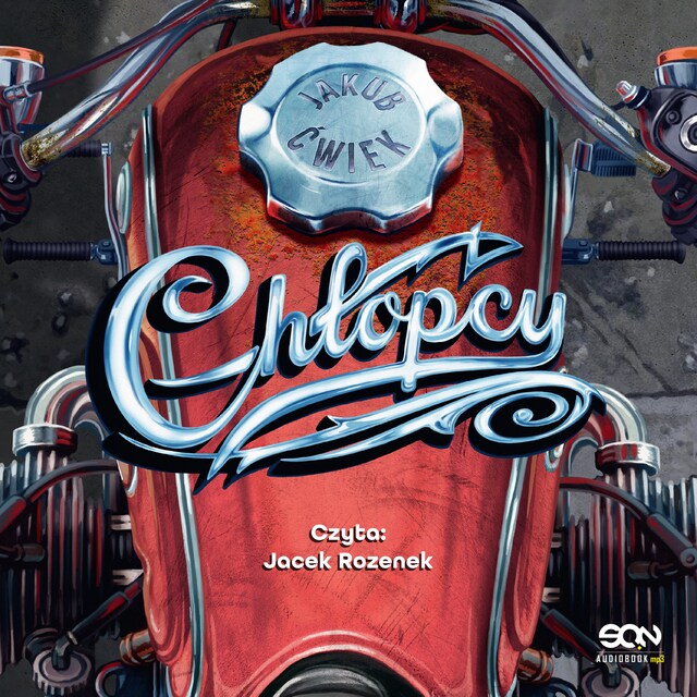 Book cover for Chłopcy