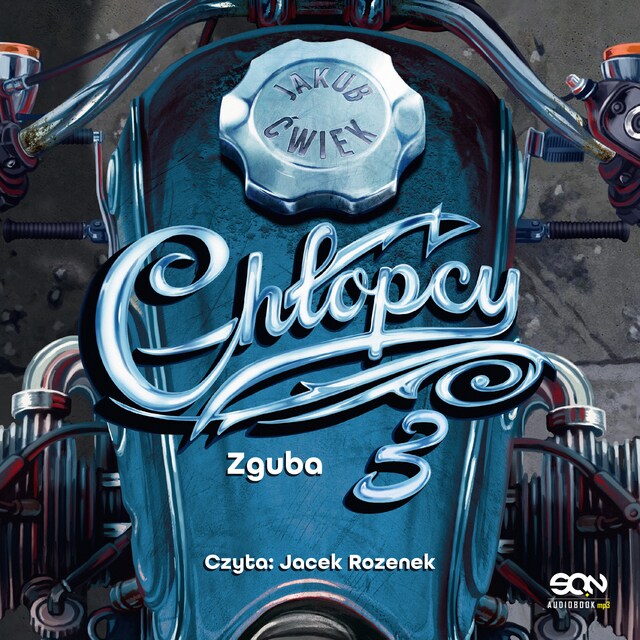 Couverture de livre pour Chłopcy 3. Zguba