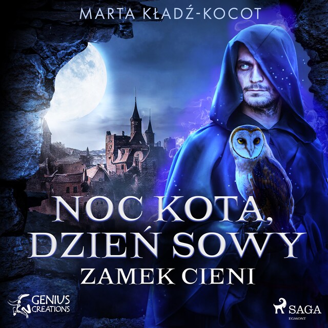 Book cover for Noc kota, dzień sowy: Zamek Cieni
