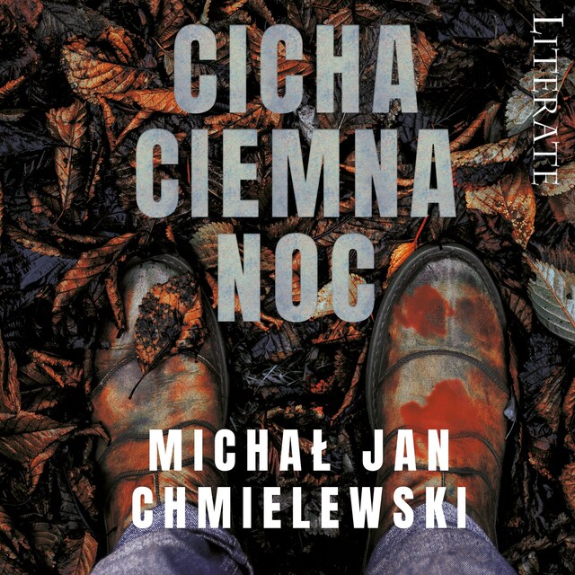 Book cover for Cicha ciemna noc