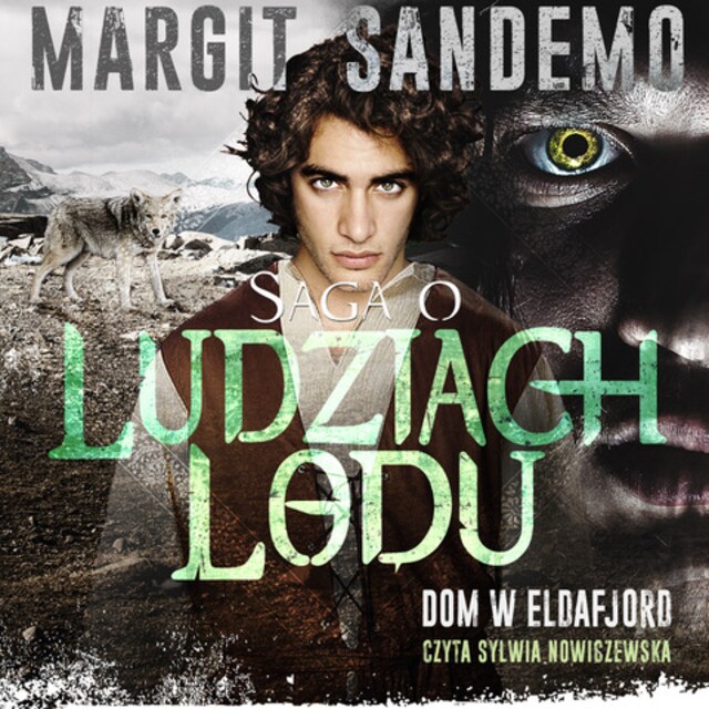 Copertina del libro per Dom w Eldafjord