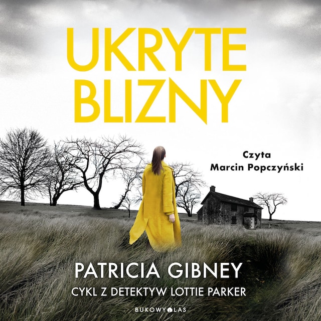 Okładka książki dla Ukryte blizny. Cykl z detektyw Lottie Parker