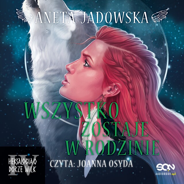 Book cover for Wszystko zostaje w rodzinie