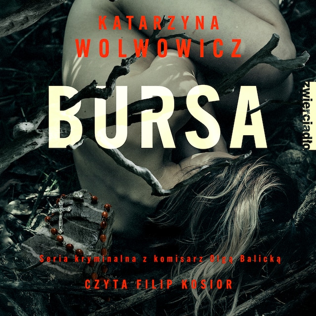 Buchcover für Bursa