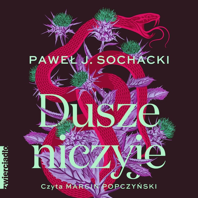 Book cover for Dusze niczyje