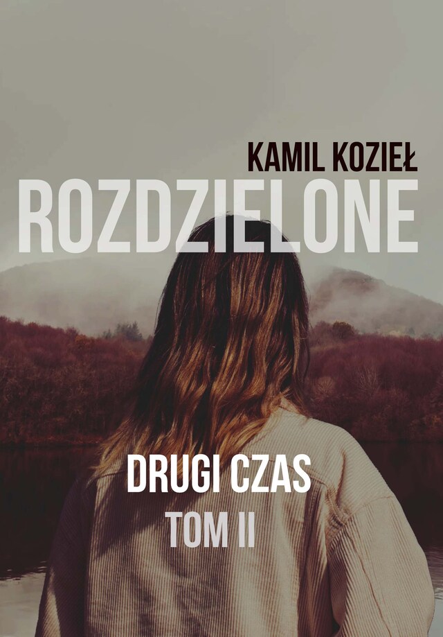 Book cover for Drugi czas
