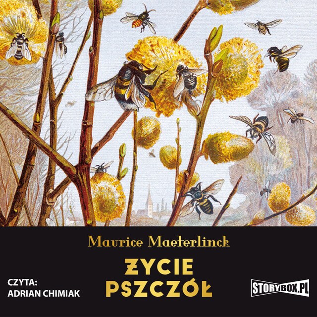 Book cover for Życie pszczół