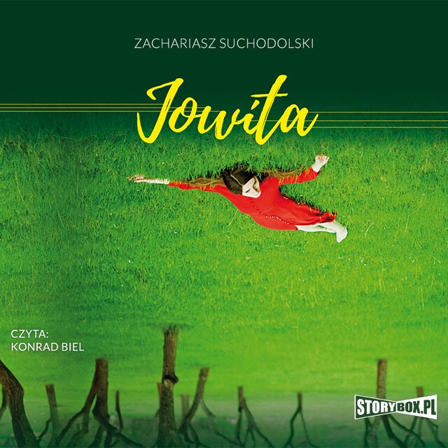 Book cover for Jowita