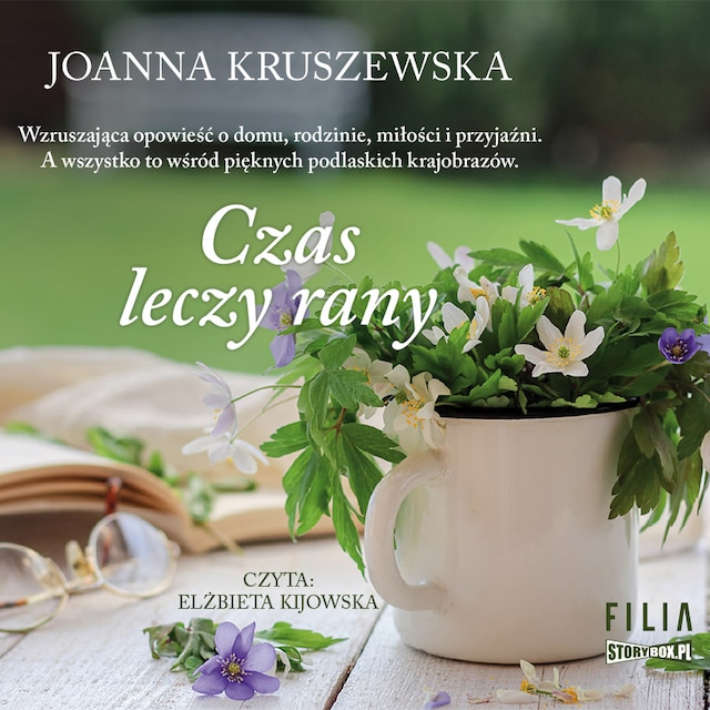 Book cover for Czas leczy rany