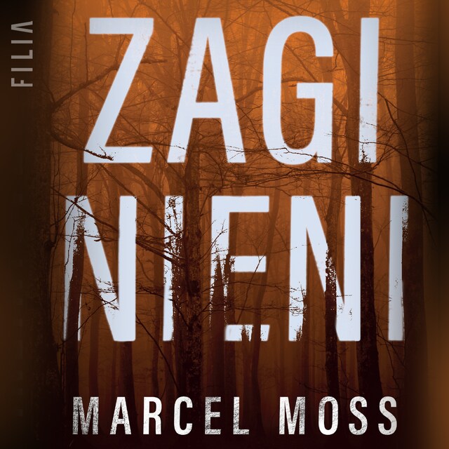 Buchcover für Zaginieni