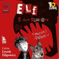 Elf i dom demonów