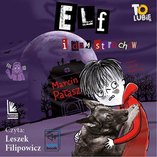 Book cover for Elf i dom strachów