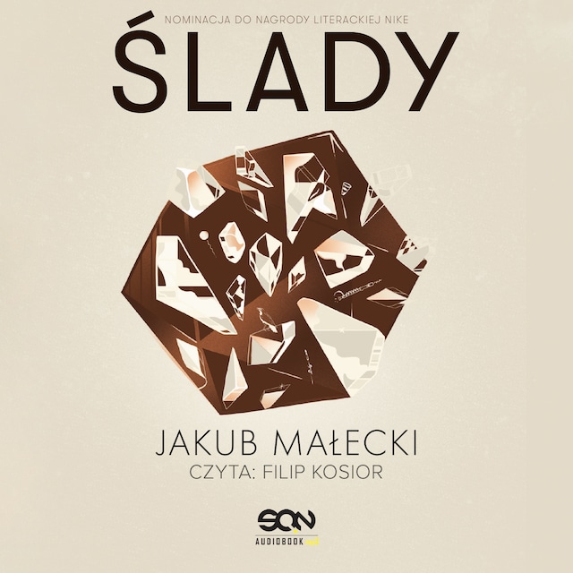 Book cover for Ślady