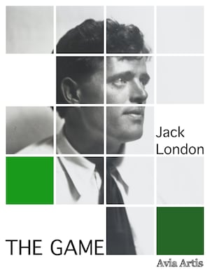 The Game bookCoverFor