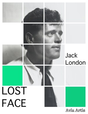 Lost Face bookCoverFor