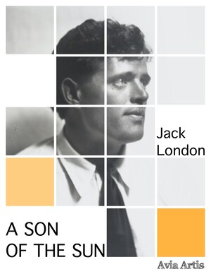A Son of the Sun bookCoverFor