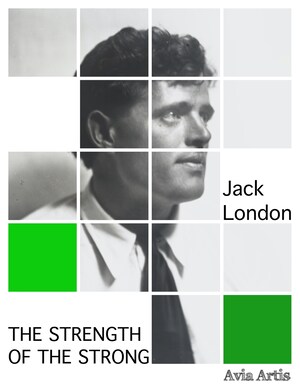 The Strength of the Strong bookCoverFor