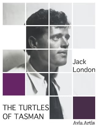 The Turtles of Tasman bookCoverFor