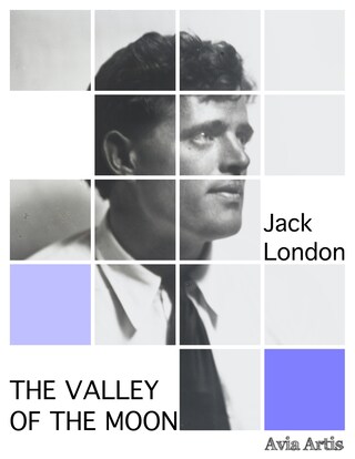 The Valley of the Moon bookCoverFor