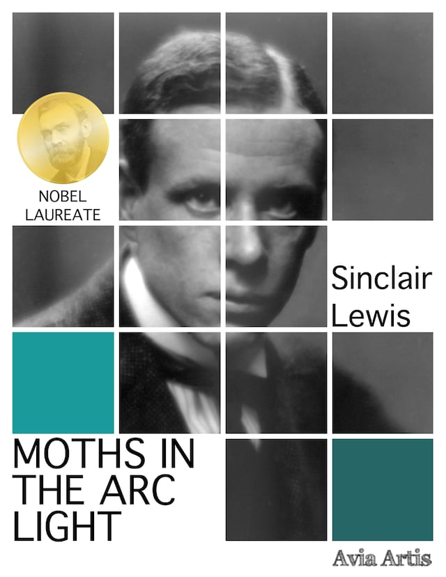 Book cover for Moths in the Arc Light