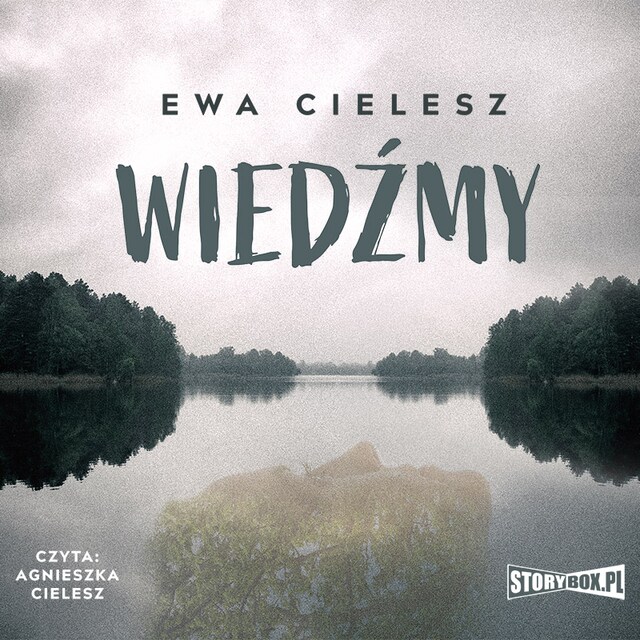 Book cover for Wiedźmy