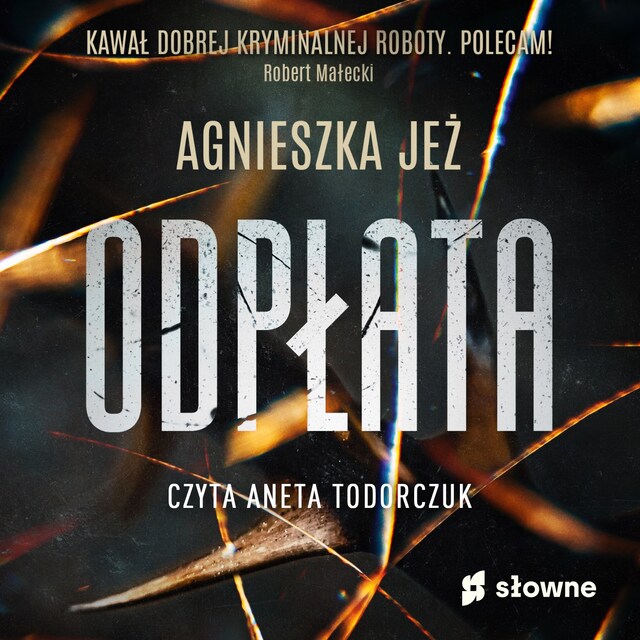 Book cover for Odpłata
