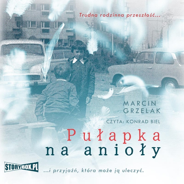 Book cover for Pułapka na anioły