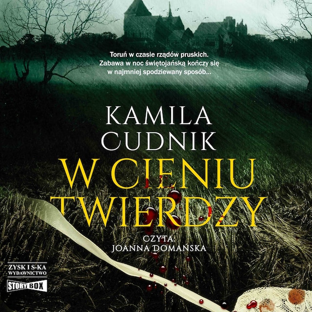 Book cover for W cieniu twierdzy