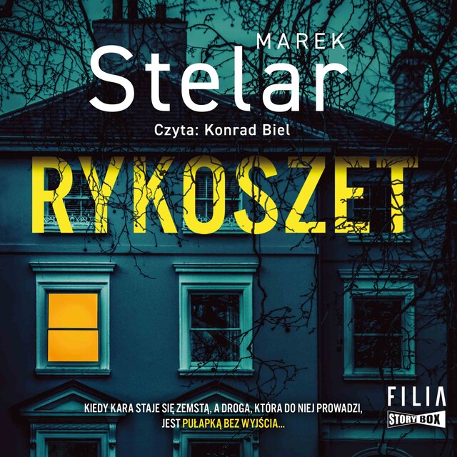 Book cover for Rykoszet