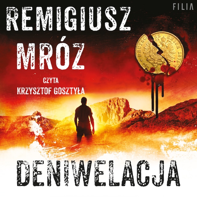 Book cover for Deniwelacja