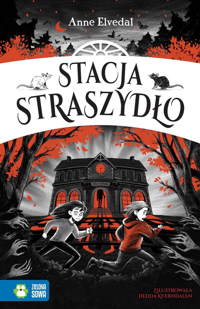 Book cover for Stacja Straszydło