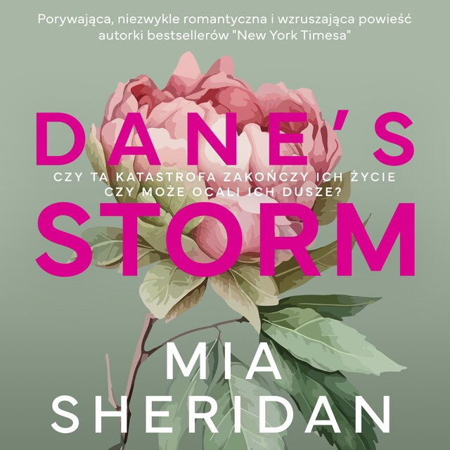 Okładka książki dla Dane's Storm