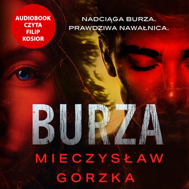 Book cover for Burza