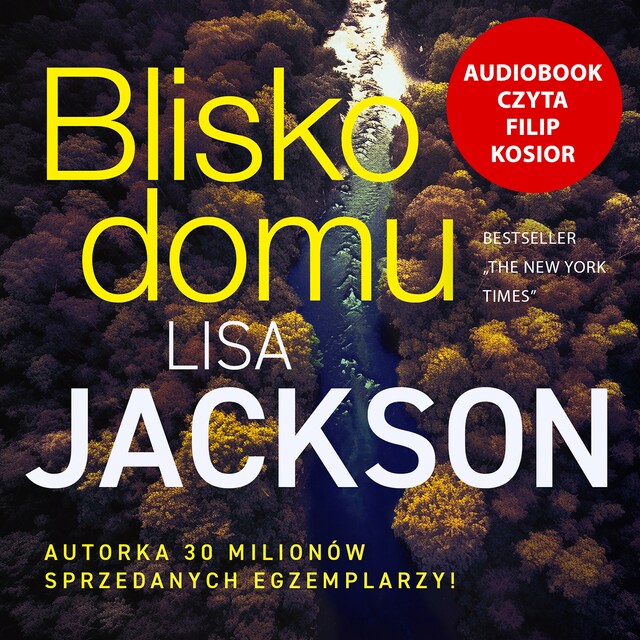Book cover for Blisko domu