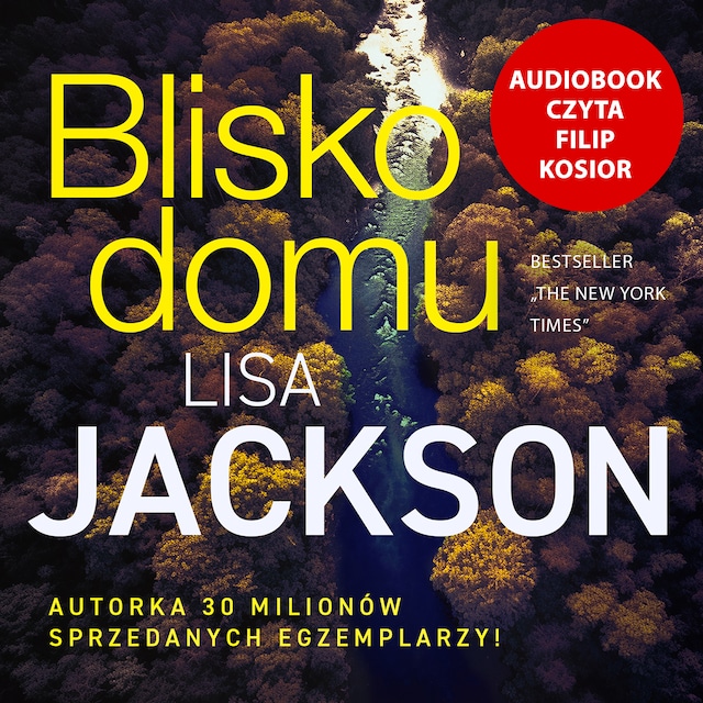 Book cover for Blisko domu