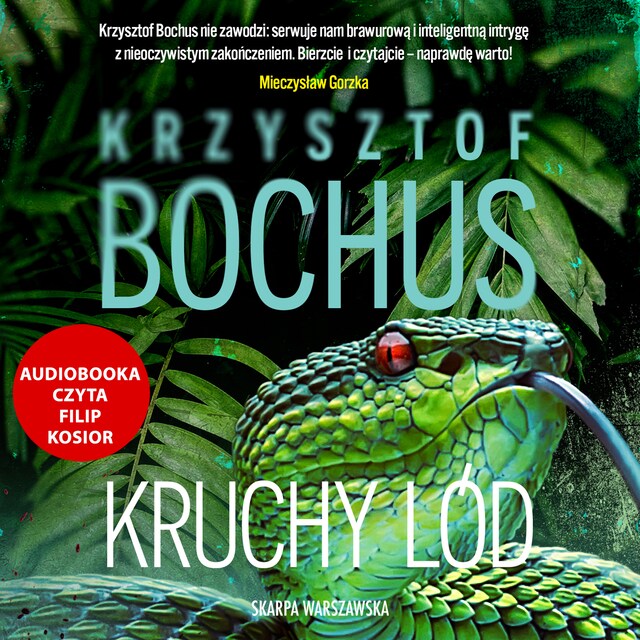 Copertina del libro per Kruchy lód