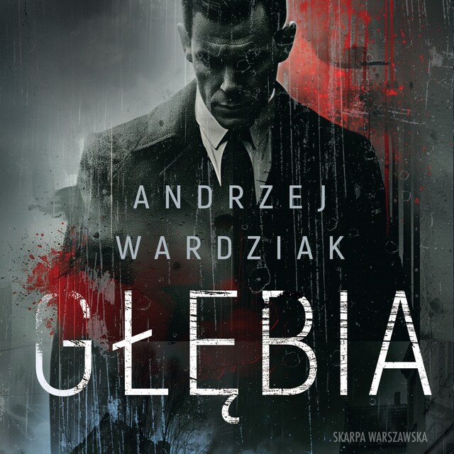 Buchcover für Głębia