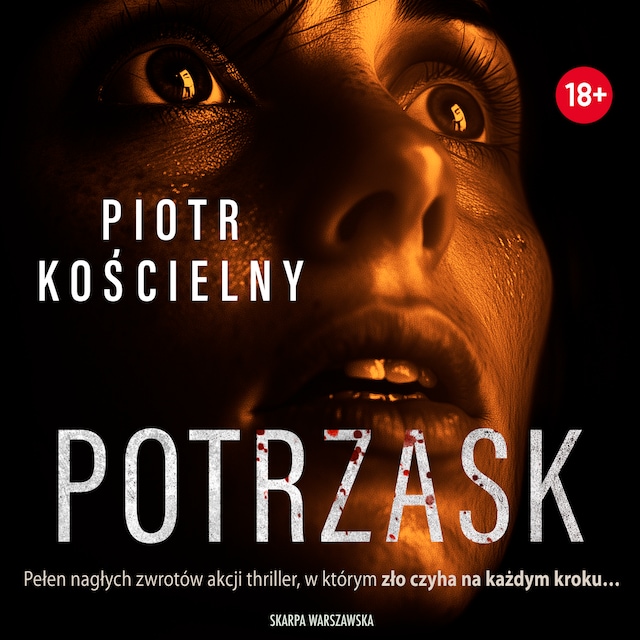 Book cover for Potrzask