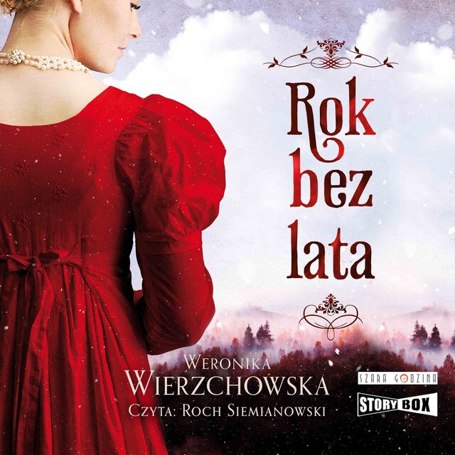 Book cover for Rok bez lata